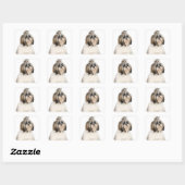 スタジオポートレートのシーズー（犬）Tzu スクエアシール (シート)