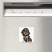 スタジオポートレートのロットワイラー子犬 マグネット (インサイチュ (食洗機))