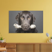 スタジオポートレートチョコレートラブラドール運ズ キャンバスプリント (インサイチュ (リビング))