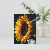 スタジオ1のひまわり ポストカード (スタンド正面)