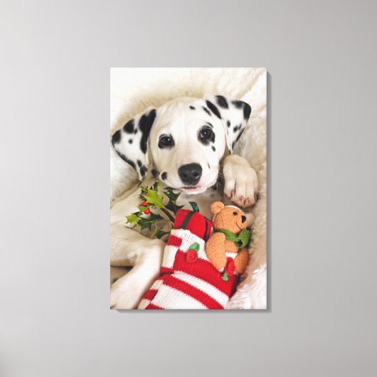 スタジオ キャンバスプリント (正面)