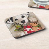 スタジオ コースター (左側)