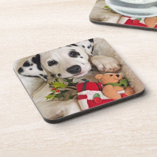 スタジオ コースター (左側)