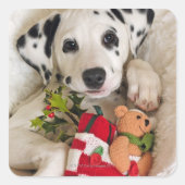 スタジオ スクエアシール (正面)