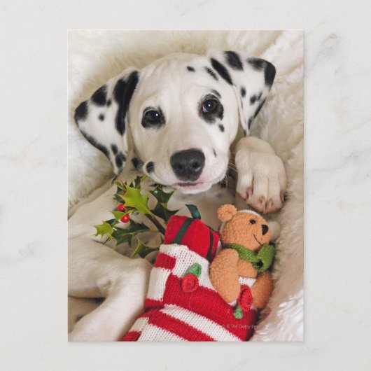 スタジオ ポストカード (正面)