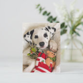 スタジオ ポストカード (スタンド正面)