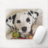 スタジオ マウスパッド (マウス)