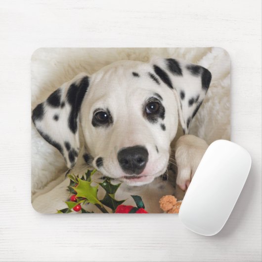 スタジオ マウスパッド (マウス)