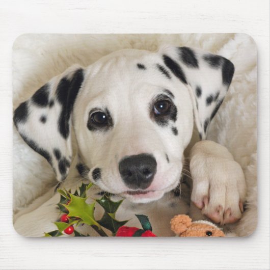 スタジオ マウスパッド (正面)