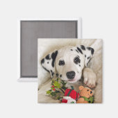 スタジオ マグネット (正面/裏面)