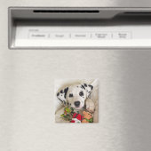 スタジオ マグネット (インサイチュ (食洗機))