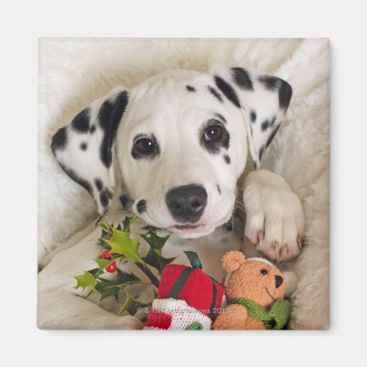 スタジオ マグネット (正面)