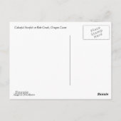 スタッカラフルフィッシュアットボブクリーク ポストカード (裏面)