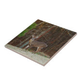 スタッグ/バックディアオークカモフラージュ タイル (側面)