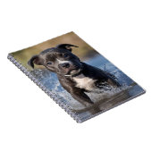 スタッフィーの子犬が海で遊ぶ, ノートブック (右側)