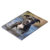 スタッフィーの子犬が海で遊ぶ, ノートブック (左側)