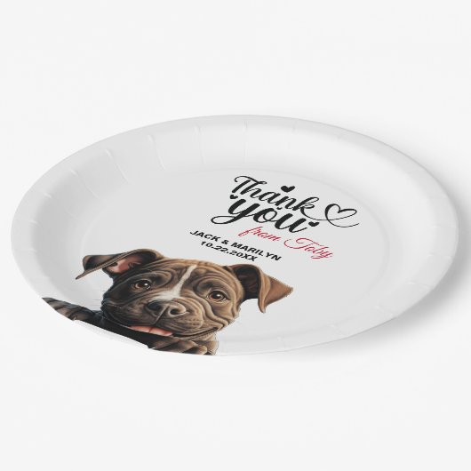 スタッフォードシャー・ブル・テリア ペーパープレート (アングル)