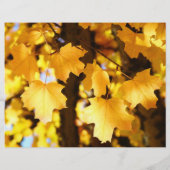 スタッフミーティングフライヤーイエロー紅葉事務所 チラシ (裏面)