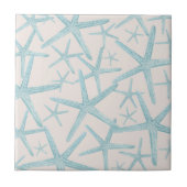 スタッ航海のフィッシュビーチハウス タイル (正面)