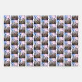 スタテンアイランドフェリーNYCからバッテリーパーク ラッピングペーパーシート (正面3)