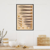 スタニスラフ・ルビエニエツキによるヴィンテージ天文学、彗星 ポスター (キッチン)