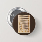 スタニスラフ・ルビエニエツキによる『Comets』、ヴィンテージ天文学 缶バッジ (正面&裏面)