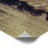 スタニスローワイスピアンスキー自画像, 1902 ポスター (角)