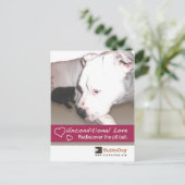 スタビードッグバレンタイン#3 シーズンポストカード (スタンド正面)