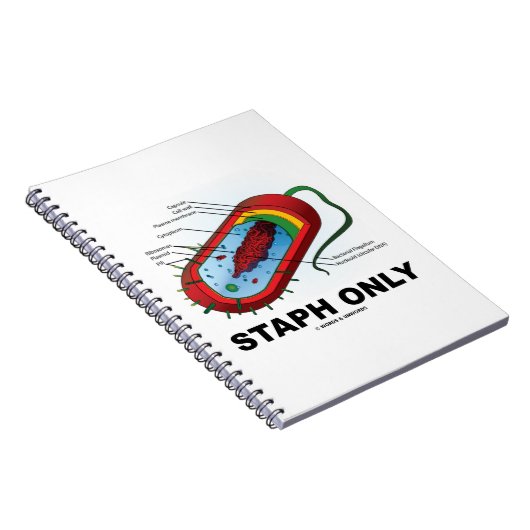 スタフのみ(細菌ダイアグラム原核細菌) ノートブック (右側)