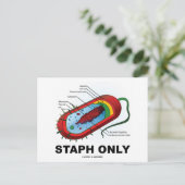 スタフのみ（細菌保健医療ユーモア） ポストカード (スタンド正面)