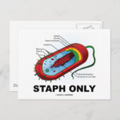 スタフのみ（細菌保健医療ユーモア） ポストカード (正面/裏面)