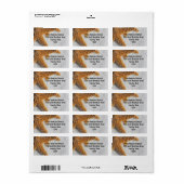 スタフィッシュインサンドビーチ結婚式 ラベル (フルシート)