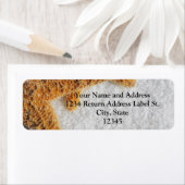 スタフィッシュインサンドビーチ結婚式 ラベル (インサイチュ)