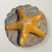 スタフィッシュインザサンドビーチテーマ ラウンドクッション (裏面)