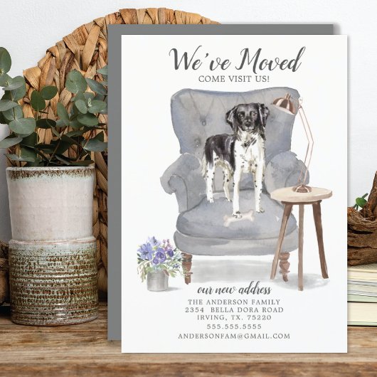 スタブヨン |お知らせ 案内状