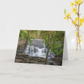 スタムツダム カード (黄色い花)