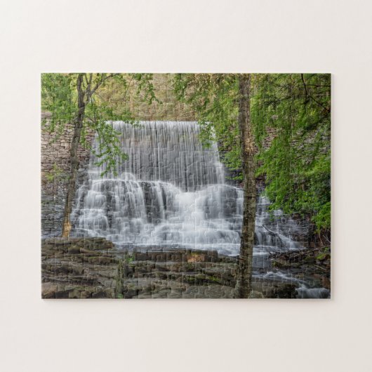 スタメッツダム11x14懸命 ジグソーパズル (横)