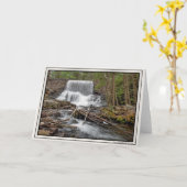 スタメッツダム カード (黄色い花)