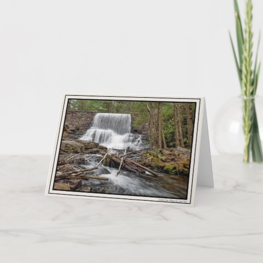 スタメッツダム カード (正面)