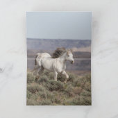 スタリオンが野馬の挨拶状を案内 カード (内部)