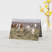 スタリオンが野馬の挨拶状を案内 カード (黄色い花)