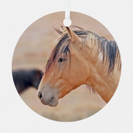 スタリオンウォッチングオーナメント メタルオーナメント (正面)