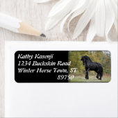 スタリオンストラット ラベル (インサイチュ)