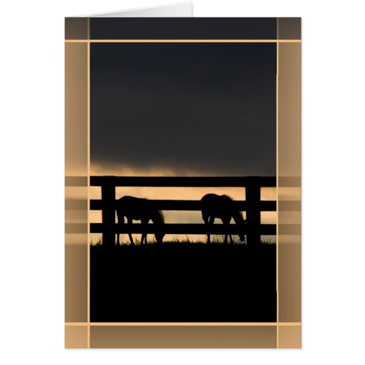 スタリオンファーム到来の嵐 (正面)