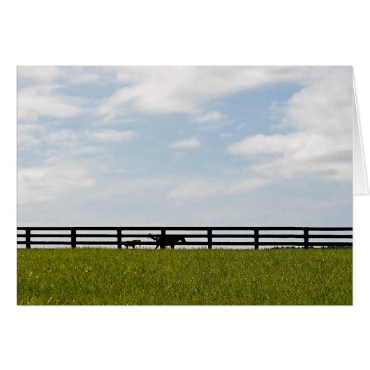 スタリオンファーム (正面横)