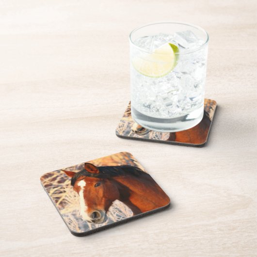 スタリオンホース コースター (右側)