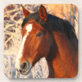 スタリオンホース コースター (正面)