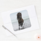 スタリオンランニングビーチ |北大西洋 スクエアシール (封筒)