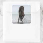 スタリオンランニングビーチ |北大西洋 スクエアシール (バッグ)