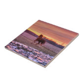 スタリオンランニングホームアットサンセットオンランチ タイル (側面)